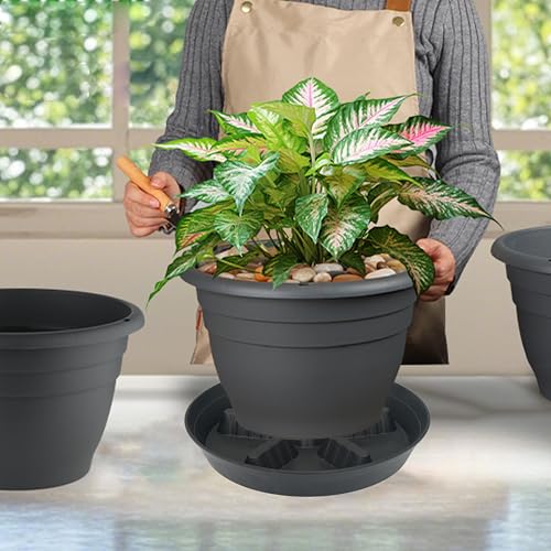 2 Pack Plant Saucer 14 inch (14"-2 Pack / Black)