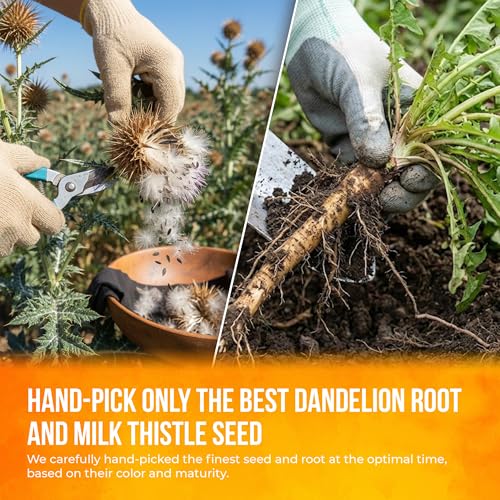 Premium Dandelion Milk Thistle Herbal Tea (1 Count)
