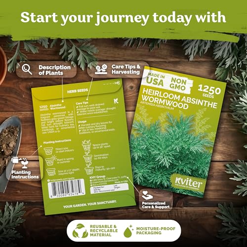 1 250 Wormwood Heirloom Herb Seeds for Planting