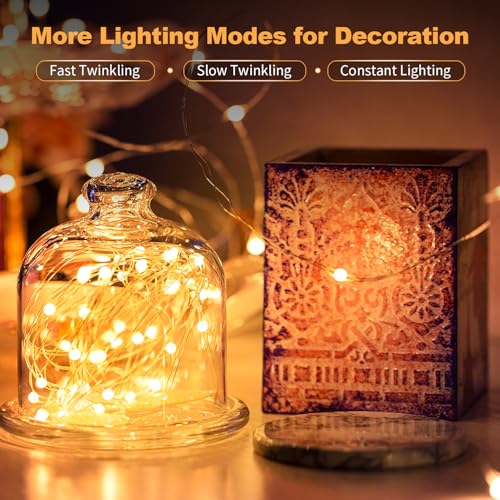 20 Pack LED Fairy Lights Battery Operated (20 Count)