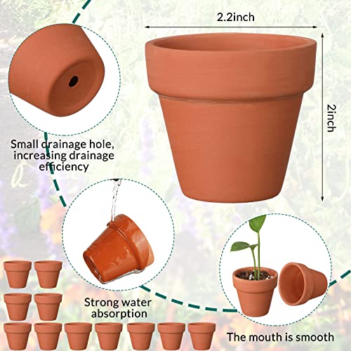 200 Pcs Mini 2" Terracotta Pot Bulk Small Plant Pots