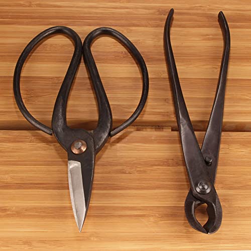 Bonsai Basics Set