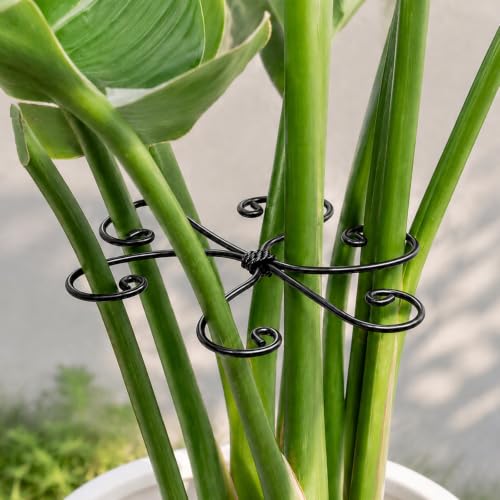 Monstera Plant Support 5.5IN (Black / 5.5IN*5.5IN)