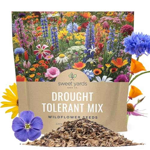 Drought Tolerant Wildflowers Mix
