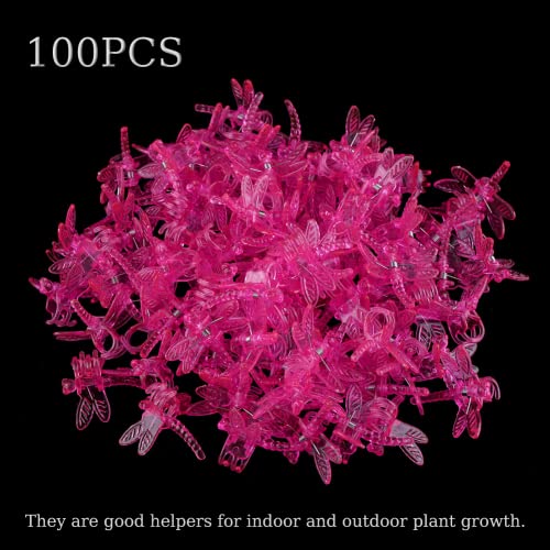 100Pcs Plant Orchid Support (Rose Red)