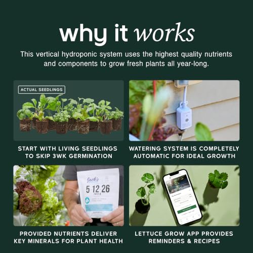 Farmstand Outdoor Starter Kit