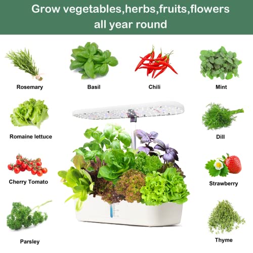 Hydroponics Growing System Kit 12 Pods Indoor Herb Garden with Grow Light (12 Pods / White)