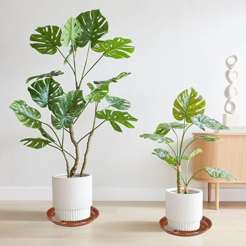 6 Pack of Plant Saucer 10 inch (10in*6 / Beown)