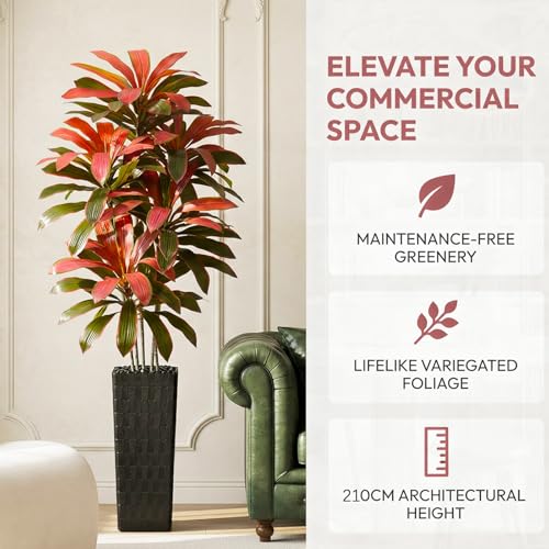 Artificial Dracaena Tree (Burgundy – Black Pot / 7FT)