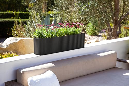 Demi Series Window Box Planter (2 Count)