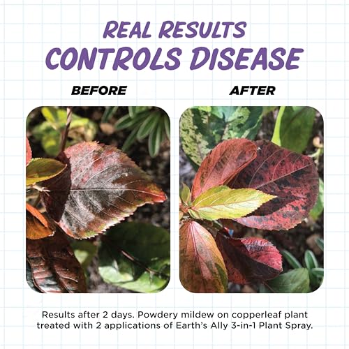 3-in-1 Plant Spray for Pests & Disease, 24 Oz (24 Fl Oz, Ready to Use)