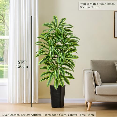 Artificial Dracaena Tree (Light Green – Black Pot / 5FT)