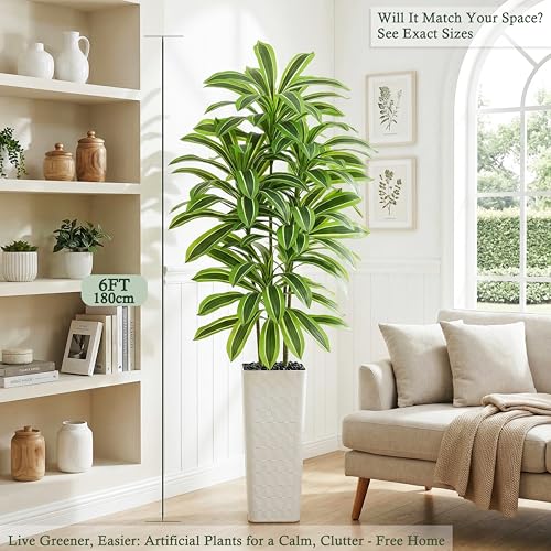 Artificial Dracaena Tree (Light Green – White Pot / 7FT)