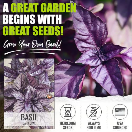 Herb Seeds to Plant Opal Basil (2 Packs)