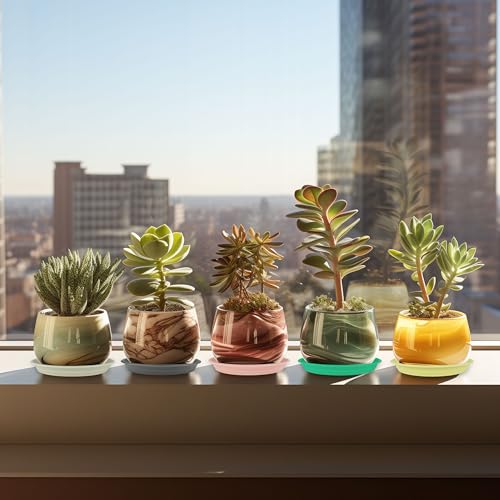 12Pcs Colourful Plant Saucer (12 Count)