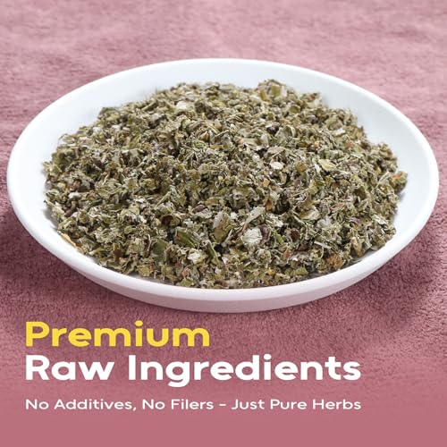Red Raspberry Leaf (6 Ounce (Pack of 1))