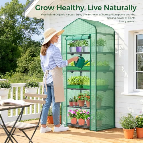 Mini Greenhouse for Indoor Outdoor (Green / 5 Tier Single Layer Roof)