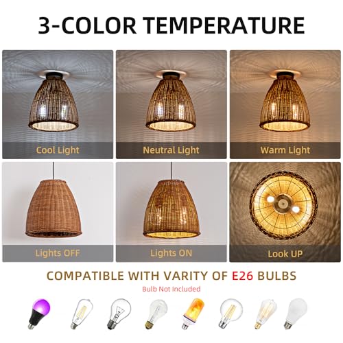 13.8" Rattan Pendant Light (Dark Brown Rattan / 13.77" 2-Light)
