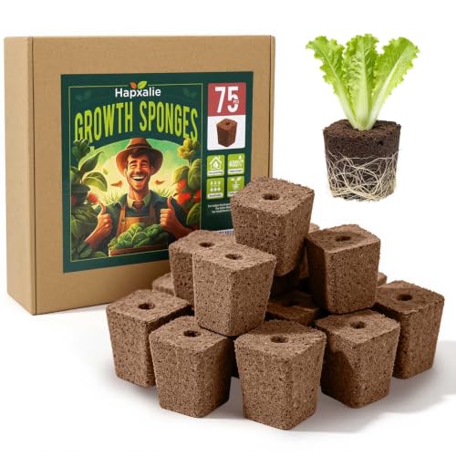 75PCS Pre Drilled Seed Starter Cubes (Pre-Drilled Holes-75PCS)