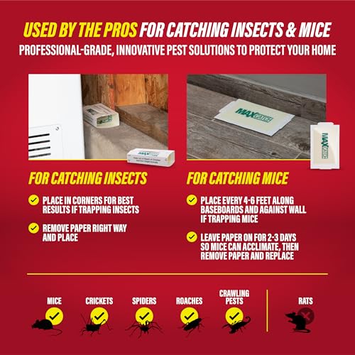 Max Catch Unscented Glue Traps 36pk (36 Count)