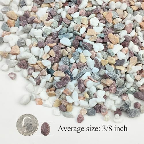5lbs Mixed Color Pebbles for Plants