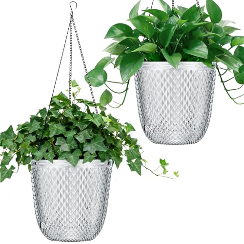 Hanging Planters for Indoor Plants (Clear / 5.7in)