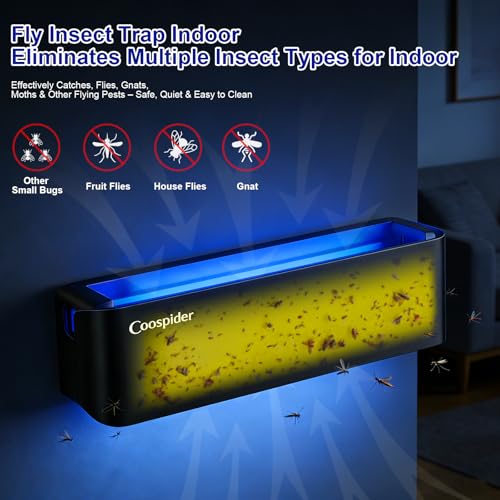 4 Pack Fly Trap Indoor