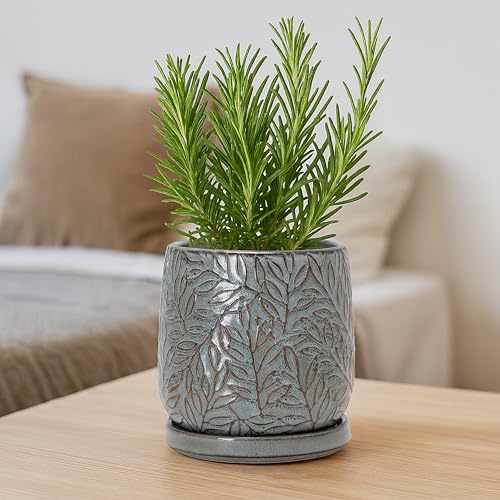 Embossed Leaves Ceramic Planter (6 Inch / Graphite Blue)