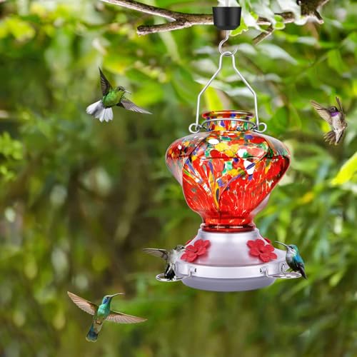 Hummingbird Feeder for Outdoors with Ant Moat