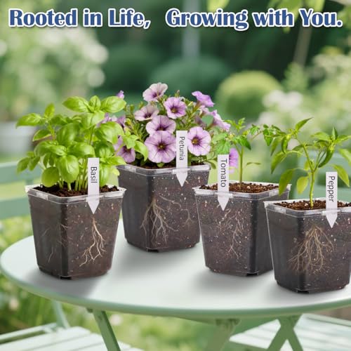 5.5 Inch Clear Square Nursery Pots with Drainage & Labels (Clear Pot+labels / 5.5Inch)