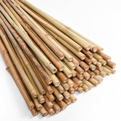 Natural Bamboo Poles (8FT-10PCS)