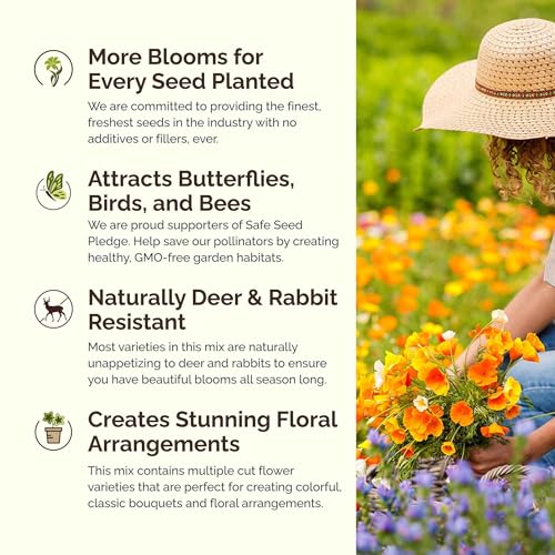 Poppy Power Flower Mixed Seeds for Planting