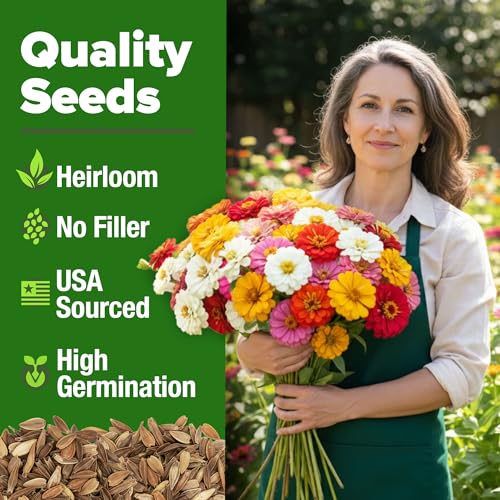 Zinnia Seeds Pumila Mix