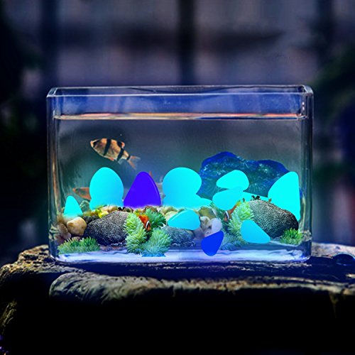 Glow in The Dark Pebbles for Outdoor Decor (200 Count)
