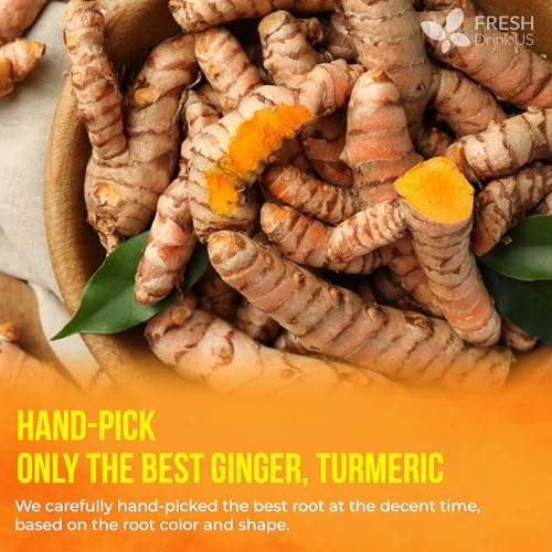 Premium 210 Ginger Turmeric Tea Bags (210 Tea Bags)