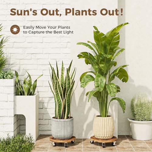Plant Caddy 12 Inch Wood Dolly with Drainage Tray 2 Pack (Brown / 12inch-Round-2pack-Tray)