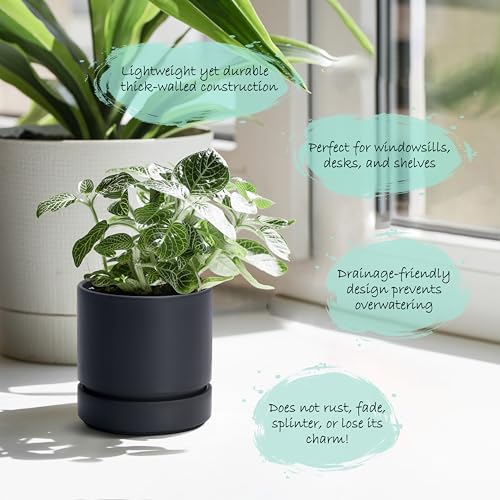 4 Inch Planter Pot with Drainage Hole & Saucer (3 Count)