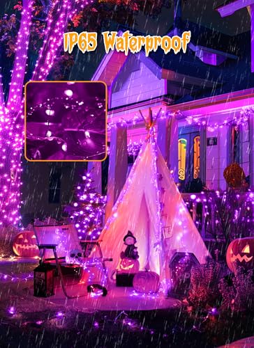 240 LED Solar Halloween Lights Outdoor Waterproof IP65 (Purple / 19.6Ft)