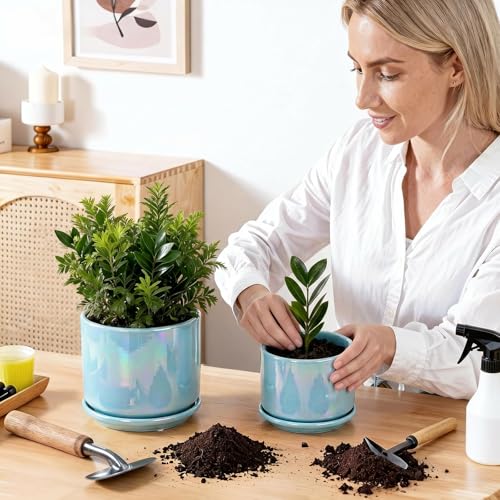 Ceramic Planter 4+5+6 Inch Ceramic Flower pots for Indoor Plants with Drainage (Sky Blue)