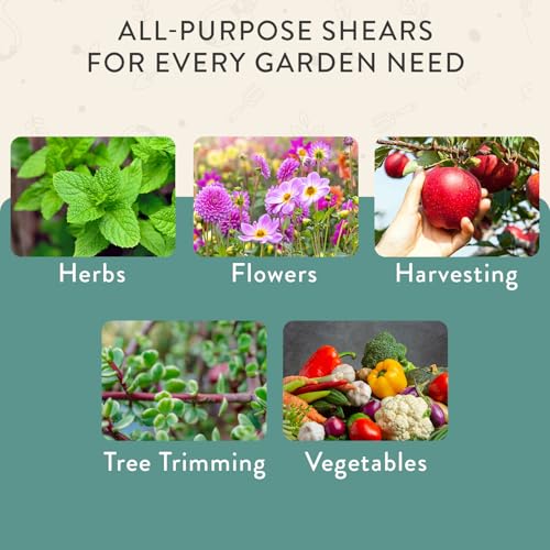 Pruning Shears (Ocean)