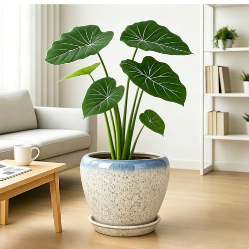 10 Inch Plant Pot (Beige&blue / 10 Inch)