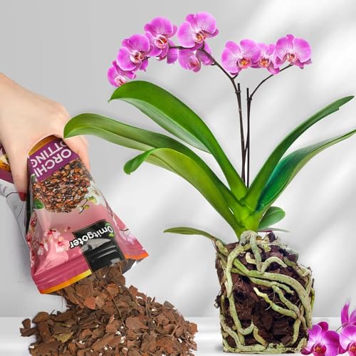 Organic Orchid Potting Mix 2qt (64 Fl Oz)