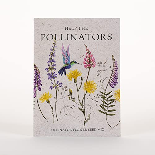 Help Pollinators Kraft Hummingbird (25 Count)
