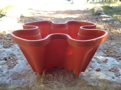 Vertical Gardening Planters