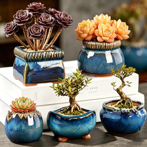 5PACK Glazed Bonsai Planter 3" Small Succulent Pots (5pcs Pots With Trays)