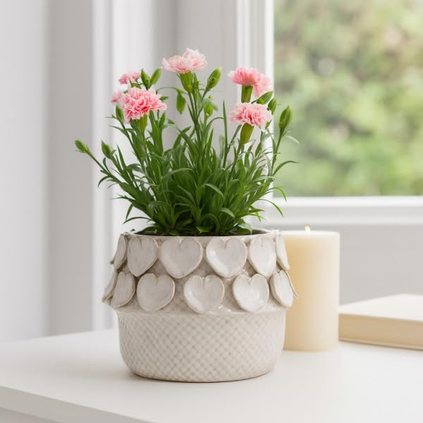 Flower Pots for Home Decor (Ivory / 8")
