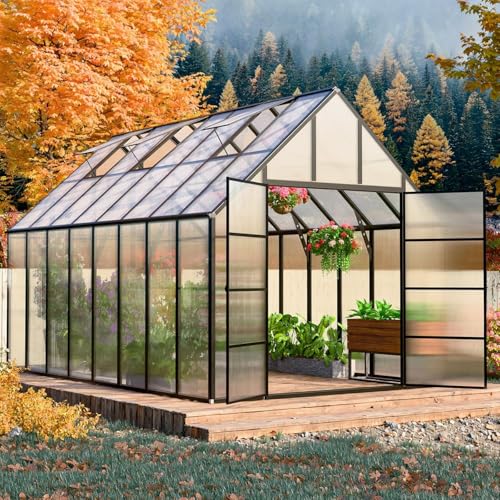 10x16 FT Greenhouse for Outdoor