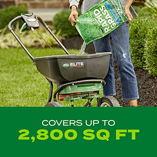 Turf Builder Rapid Grass Sun & Shade Mix (89.6 Ounce)