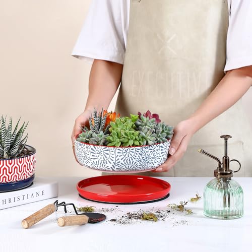 Ceramic Succulent Pots (Assorted Colors / 8 inch)