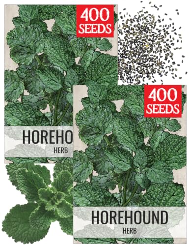 Herb Seeds to Plant Horehound (2 Packs)